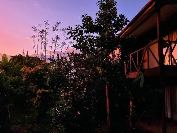 Marari Rapa Nui Hotel Hanga Roa Bagian luar foto