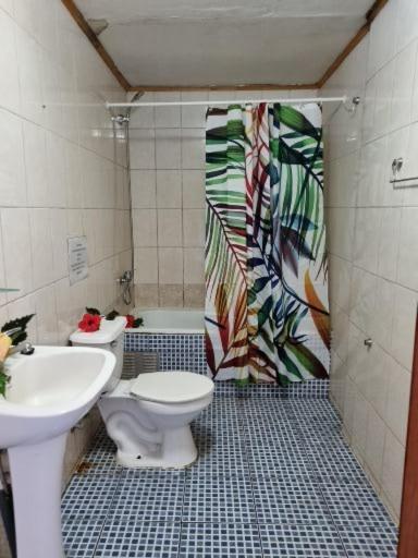 Marari Rapa Nui Hotel Hanga Roa Bagian luar foto